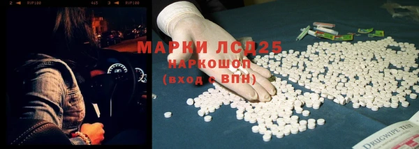 хмурый Арсеньев