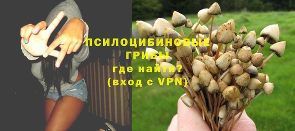 мяу мяу мука Армянск