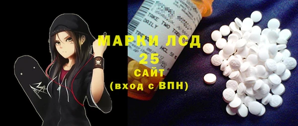 индика Баксан