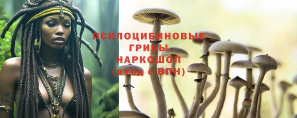 мяу мяу мука Армянск