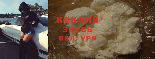 индика Баксан