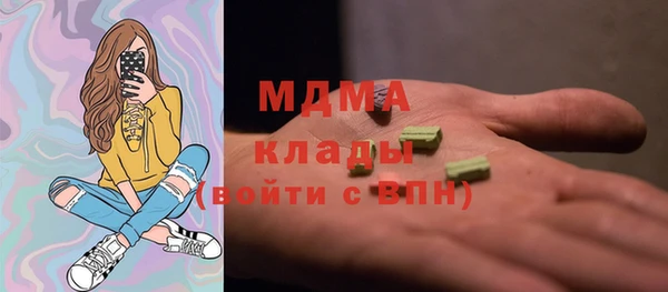 хмурый Арсеньев